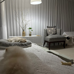 Jeff Han-귀염뽀짝강아지