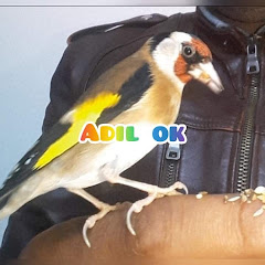 ADIL TRII ROPA BIRD 