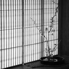 出血アイコン画像