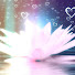 WpZA0qNK9so-channel-avatar-CEJ Daily