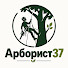 ajvNCaCCJ4Q-channel-avatar-Дмитрий | Арборист37