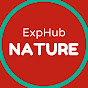 ExpHub Nature logo