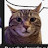 @Jibowthecat