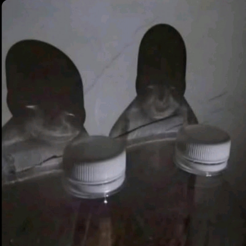 Thaunsubscribe