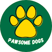 Pawsome Dogs