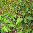 YgY8KcNRSoY-channel-avatar-H vids