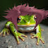 e_0PIsGO7vs-channel-avatar-Aeko