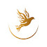 vi8FtWB3Zus-channel-avatar-The Spirit Of Glory World Assembly
