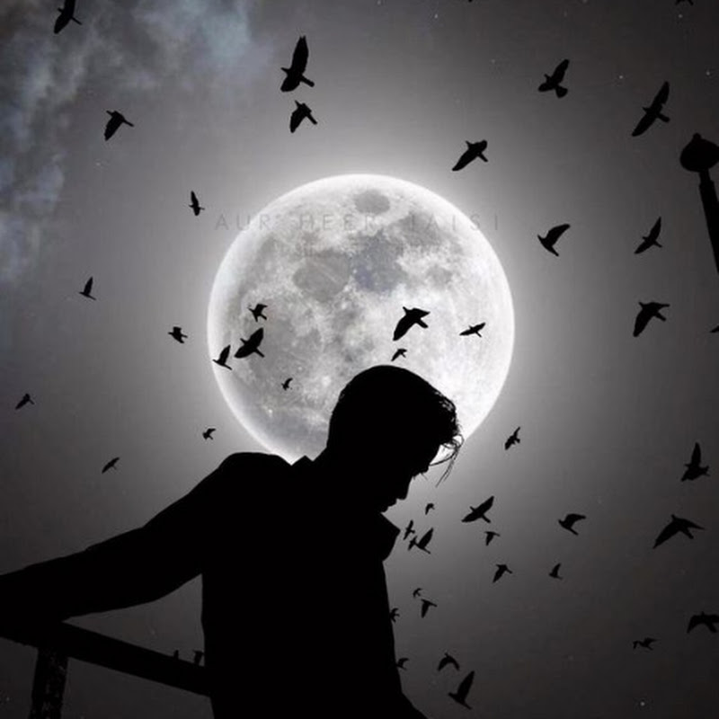 Hire Umair Edits 🖤 — Wildlife & Nature Documentaries (Animals) YouTube creator for sponsorships