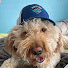 telYpFAGplo-channel-avatar-GriffDawg161