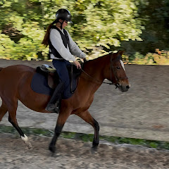 Eva et les poneys🥹🙈