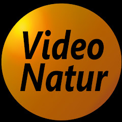 Video Natur Avatar