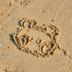 브라운 에클 Brown eckle