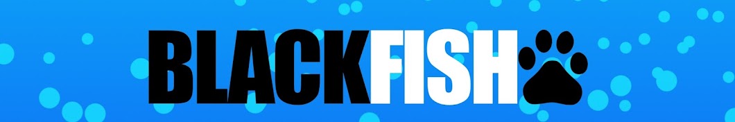 BlackFish YouTube-Kanal-Avatar