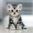 Cute Animal Compilations