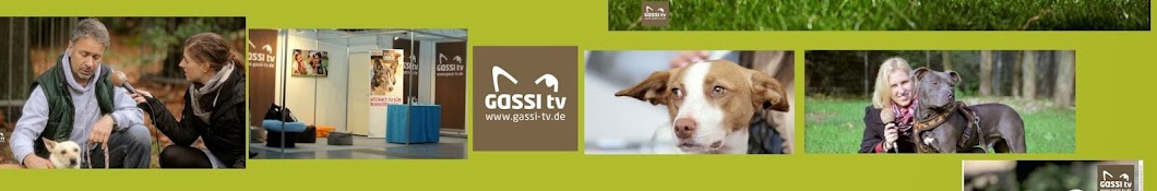 GASSI TV YouTube 频道头像