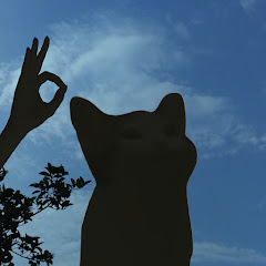 Helios Whitestar avatar
