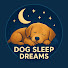 7WTvSsiCHnE-channel-avatar-Dog Sleep Dreams