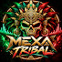 EV3KzAGu5dI-channel-avatar-Mexa Tribal