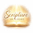 CN877lHzjHA-channel-avatar-Scripture in Light