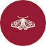 g_5Jk2EzrHg-channel-avatar-Kopikina