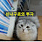 @신나구로-r4c