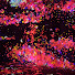 HsLZ0jJI740-channel-avatar-塩豆大福