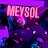 Meysol