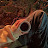 @SaraAshraf-ny6li