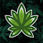 @cbdherbs7686