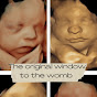The Original Window to the Womb logo