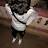 @YounesYounes-k9b
