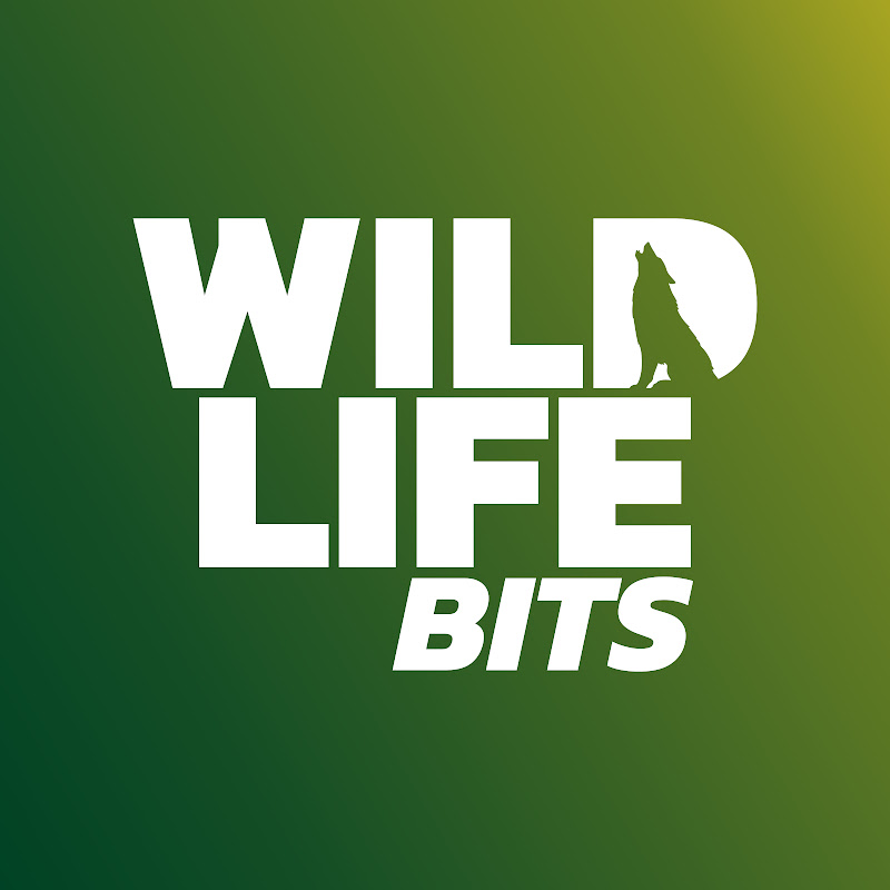 Wildlife Bits