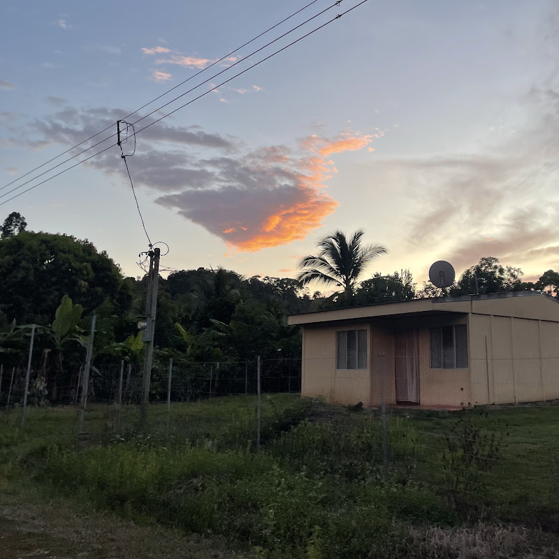 Palo Seco