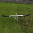 nC_CVOc5wMs-channel-avatar-Bird Flights