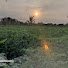 rfNzPfVfN4k-channel-avatar-Alipart Farms