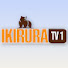 k7DvsVhPXVs-channel-avatar-IKIRURA TV1