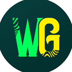 Channel thumbnail for Wild Gravity