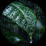 pjCvubYz7a0-channel-avatar-Harmony of Nature