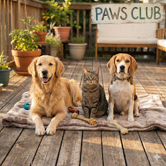 Paws Club
