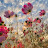 @رابعههشام