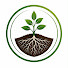 gl98vU6yEnI-channel-avatar-Secret Garden roots