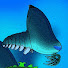 1cztJQvybMY-channel-avatar-FossilBucket