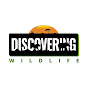 Discovering Wildlife logo