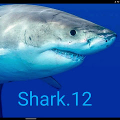 Shark.12