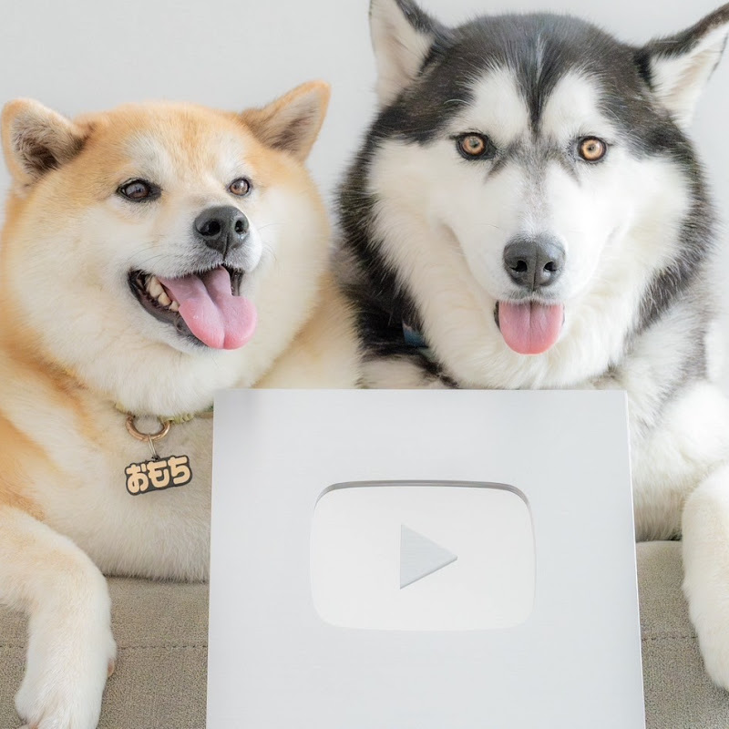 もちごめ兄弟ちゃんねる YouTubeチャンネル画像