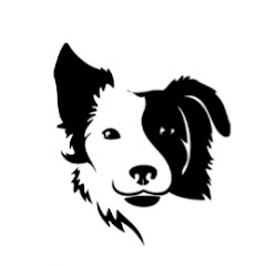 Rover's Makeover Dog Grooming net worth