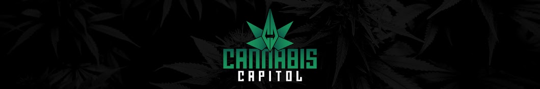 Cannabis Capitol YouTube channel avatar