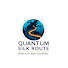 oLiM6d95jWc-channel-avatar-Quantum Silk Route
