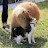 @김두팔뚜루룹뚜루
